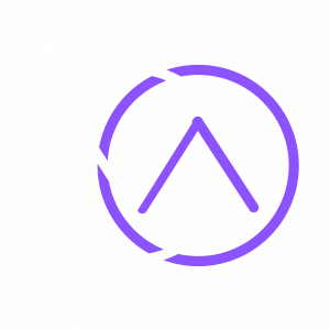 Braylene VA - Logo 2-01